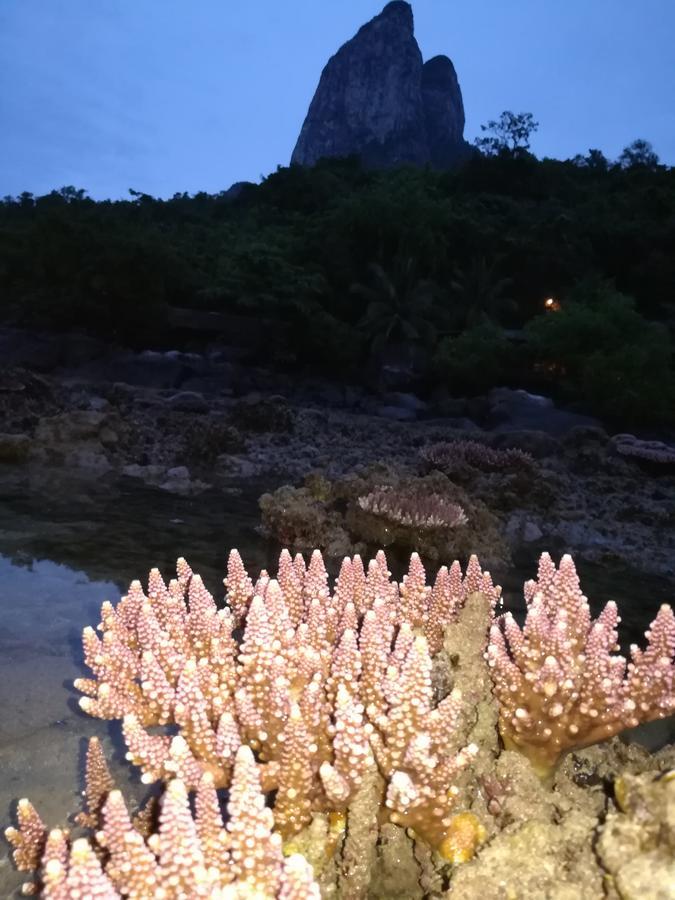 Simukut Place Kampong Pasir Sanang Burong Extérieur photo